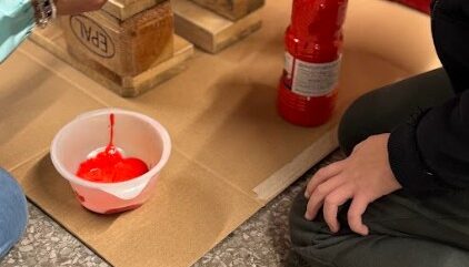 Foto1 - Simona Decapitani